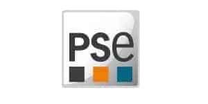 PSE Enterprises logo